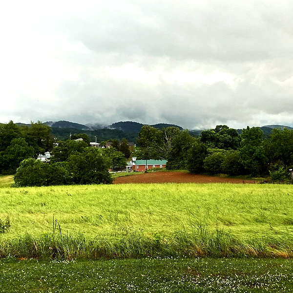 shibawri instagram image archive image