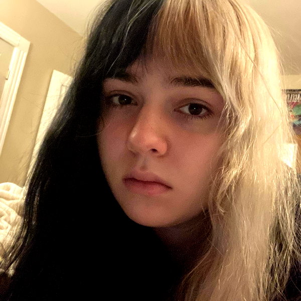 shibawri instagram image archive image