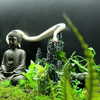shibawri Altpins Profile Picture