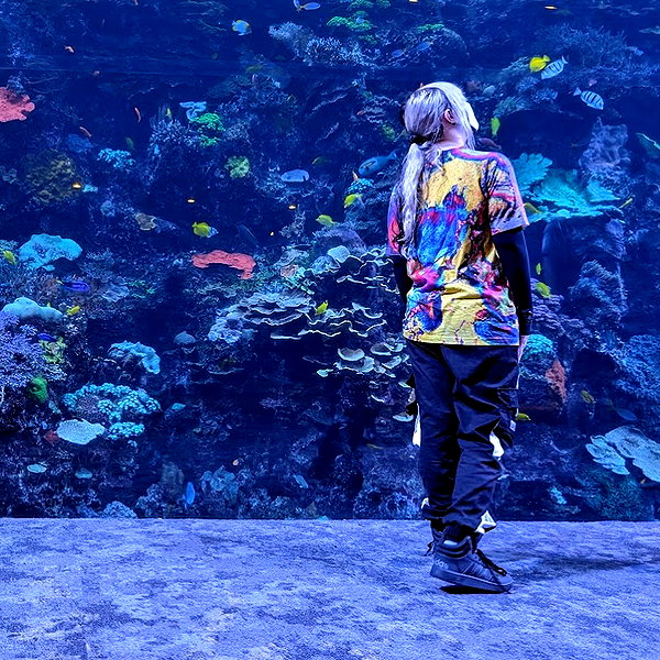 shibawri instagram image archive image