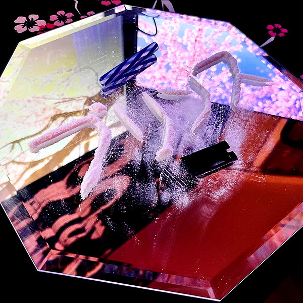 shibawri instagram image archive image