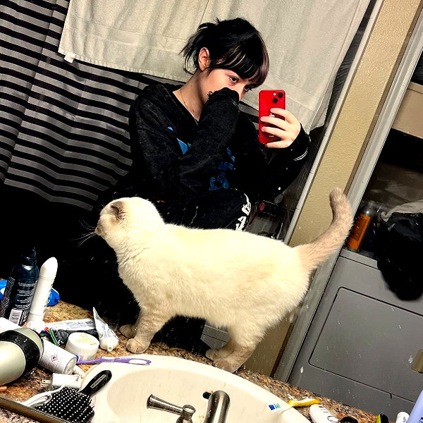 shibawri instagram image archive image