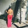 shir.albilia Altpins Profile Picture