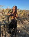 shir.albilia Altpins Profile Picture