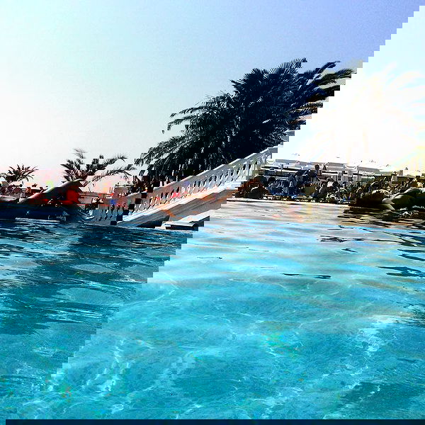 shir.davida6 shir.davida6 archive image