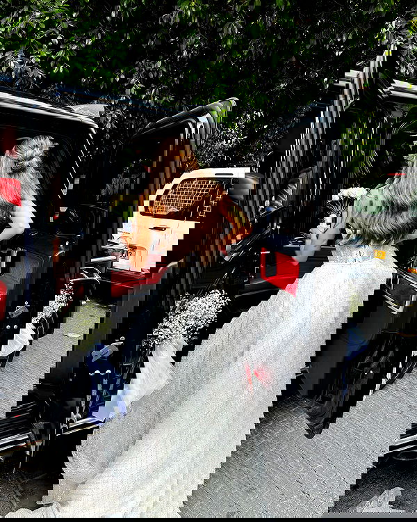 shir.davida6 shir.davida6 archive image