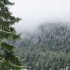 shir_revivo1 Altpins Profile Picture