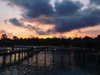 shira_karvat Altpins Profile Picture