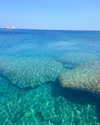 shira_karvat Altpins Profile Picture