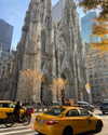 shira_karvat Altpins Profile Picture