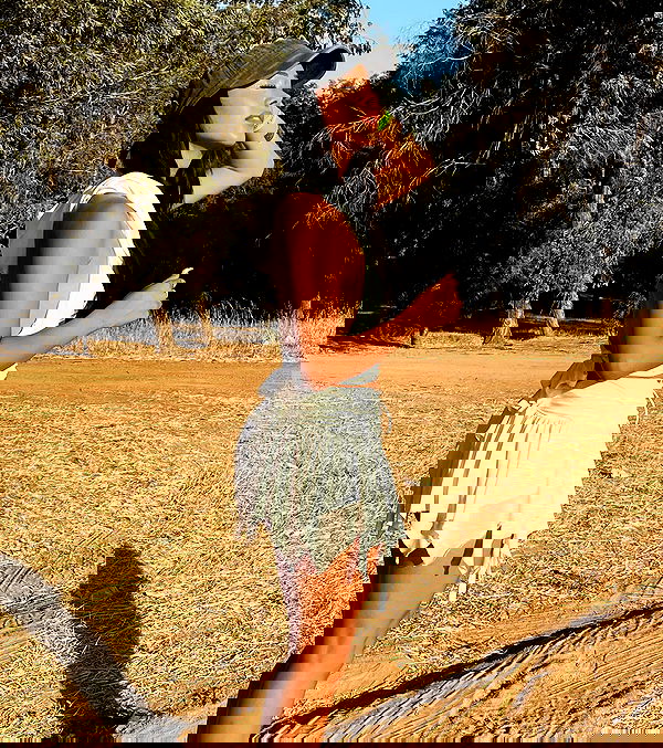 shirel_2222_ shirel_2222_ archive image