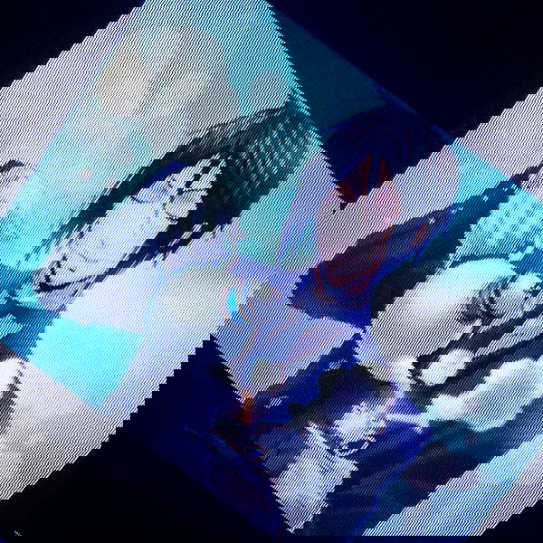 silkton image ~ Altpins