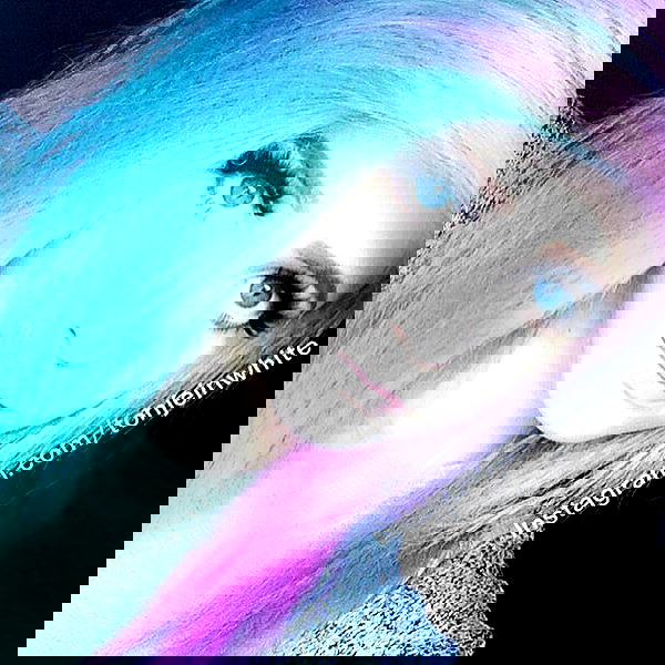 silkton image ~ Altpins