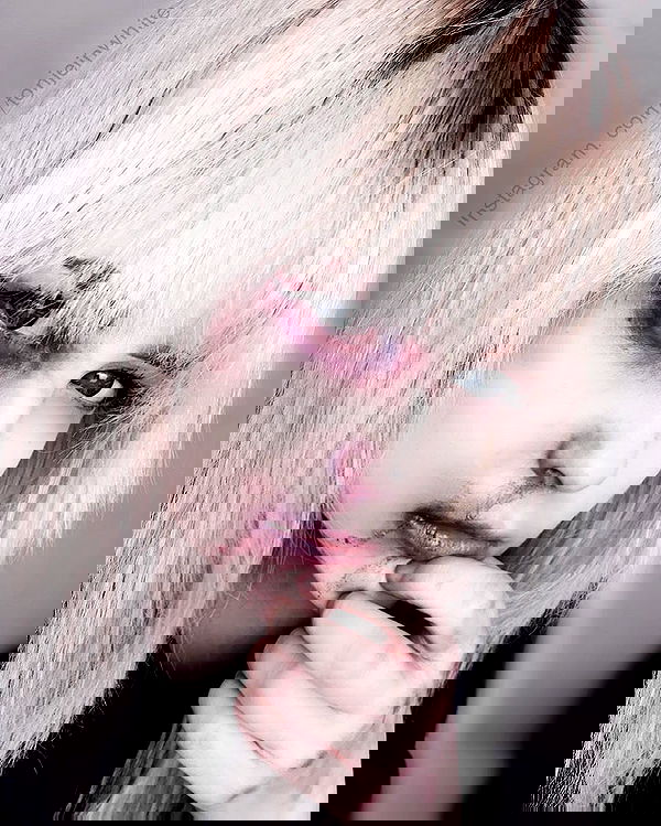 silkton image ~ Altpins