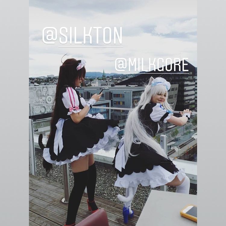 silkton instagram image archive image