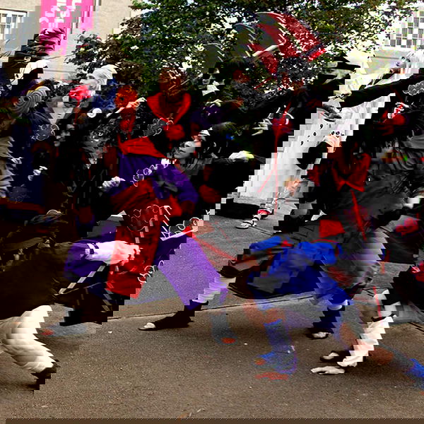 silkton image ~ Altpins