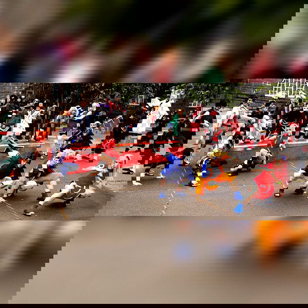 silkton image ~ Altpins