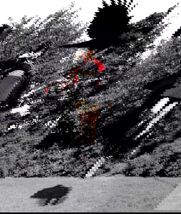 silkton image ~ Altpins