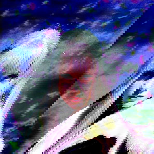 silkton image ~ Altpins