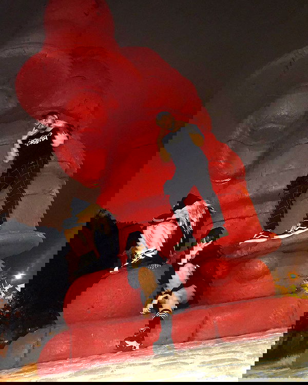 silkton image ~ Altpins