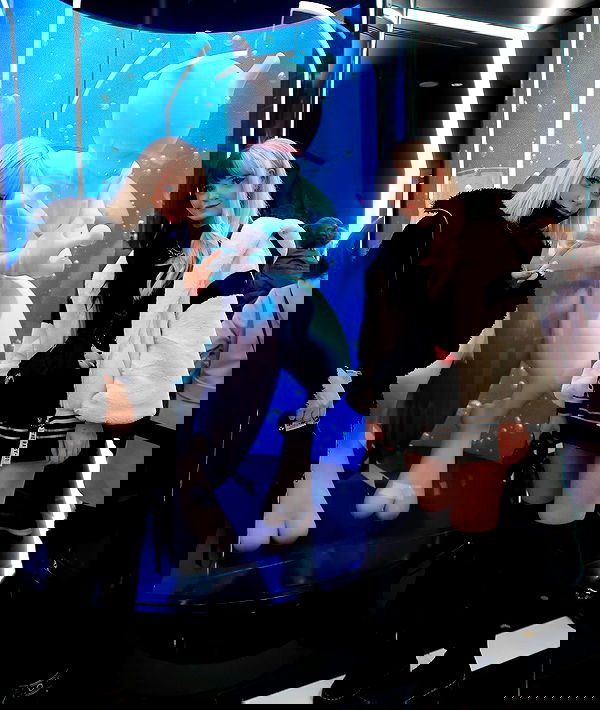 silkton image ~ Altpins