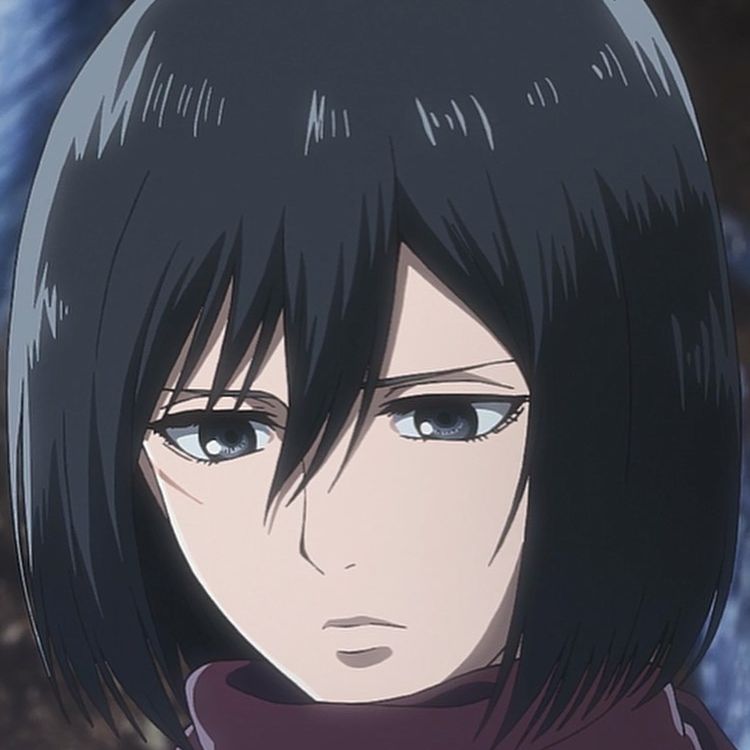 silkton instagram image archive image