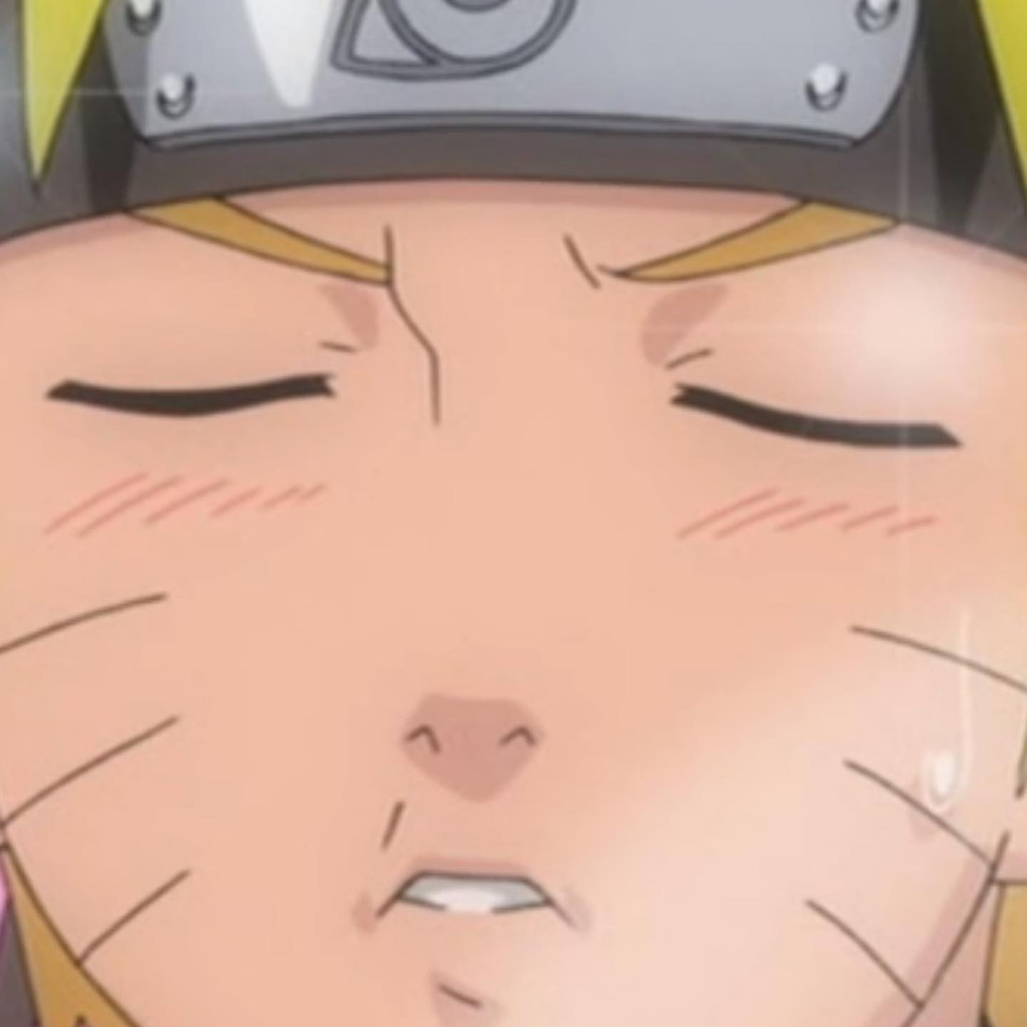 silkton instagram image archive image