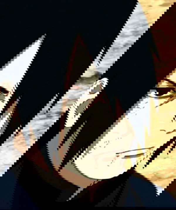 silkton image ~ Altpins