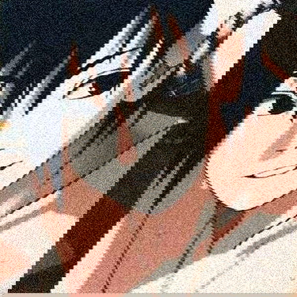 silkton image ~ Altpins