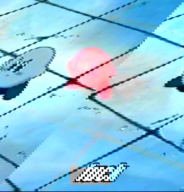 silkton image ~ Altpins