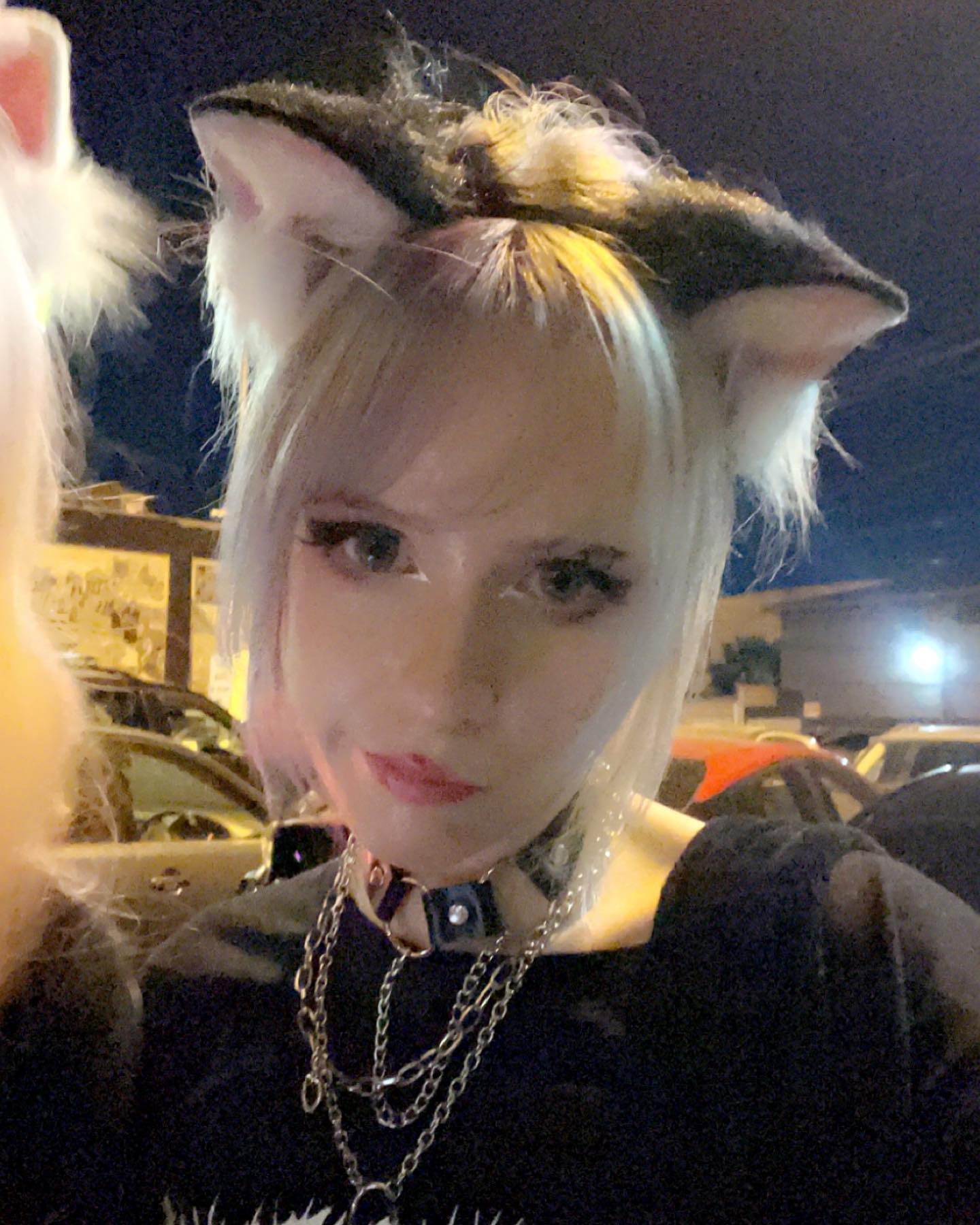 silkton instagram image archive image