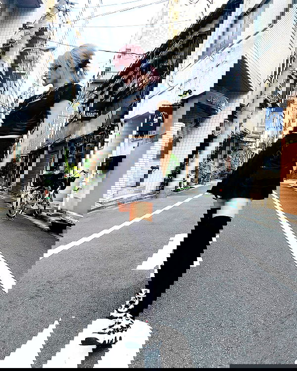 silkton image ~ Altpins