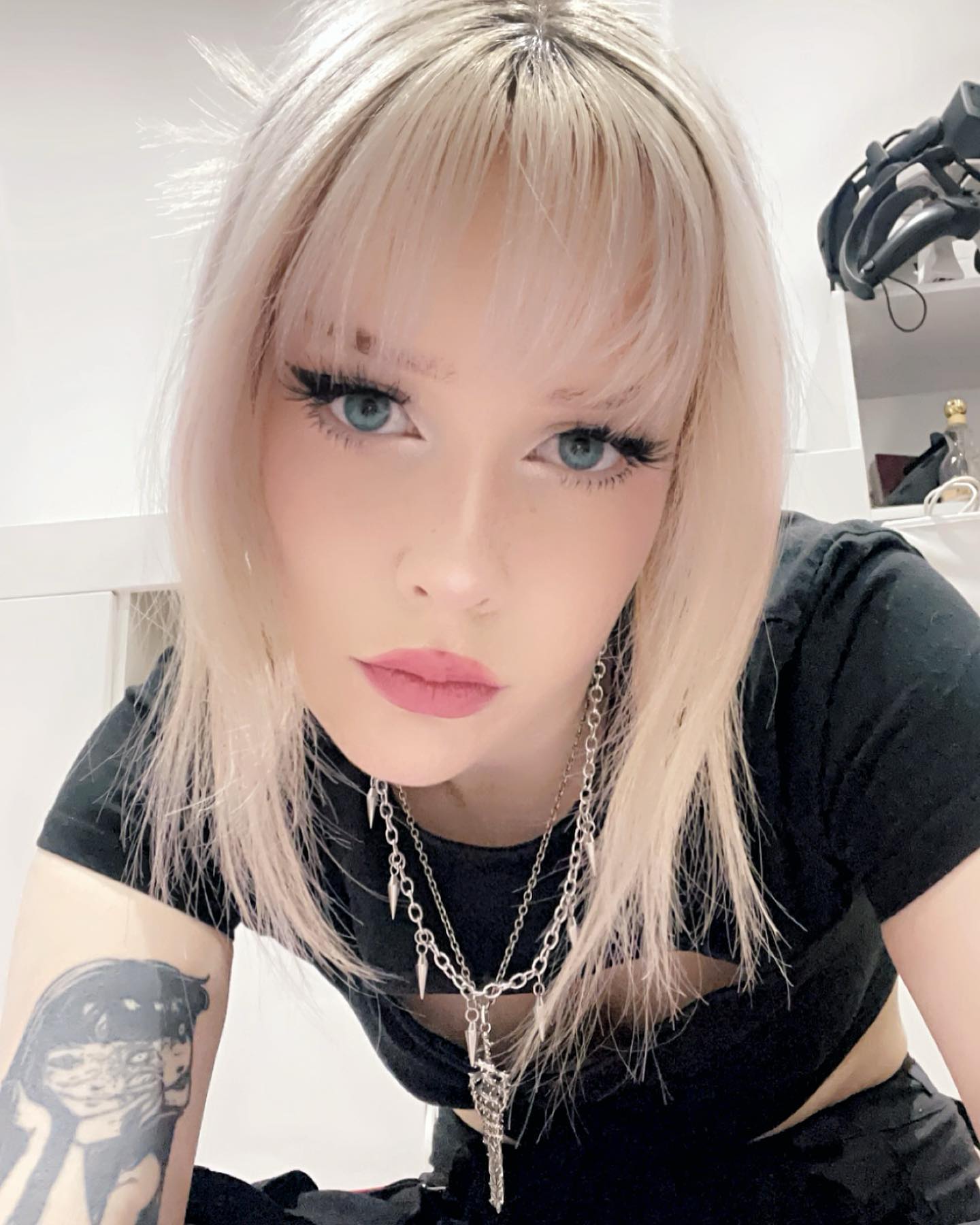 silkton instagram image archive image