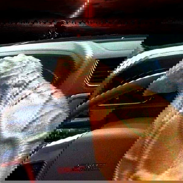 silkton silkton archive image