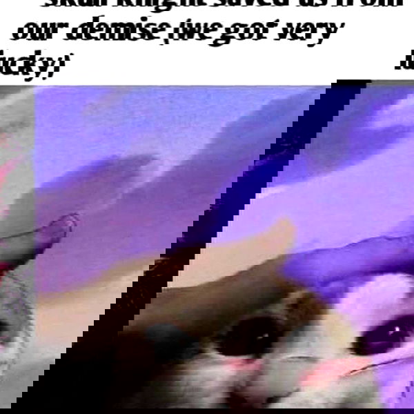 silkton silkton archive image