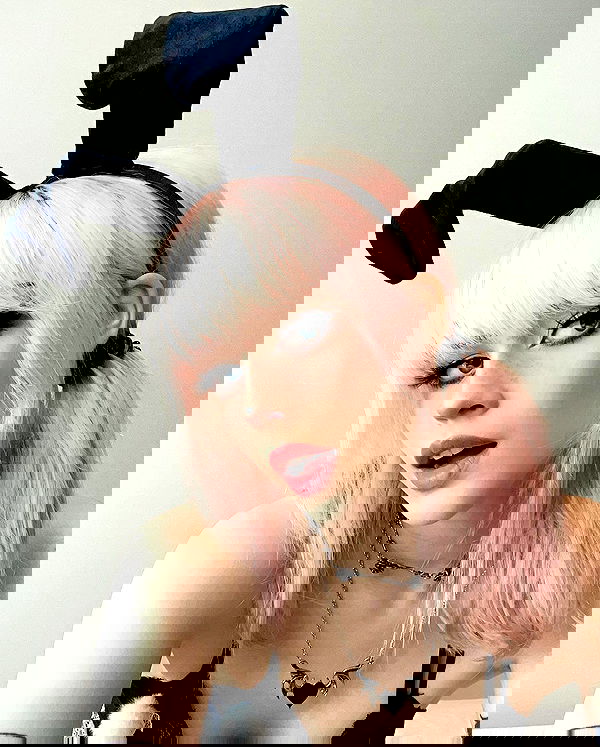 silkton silkton archive image