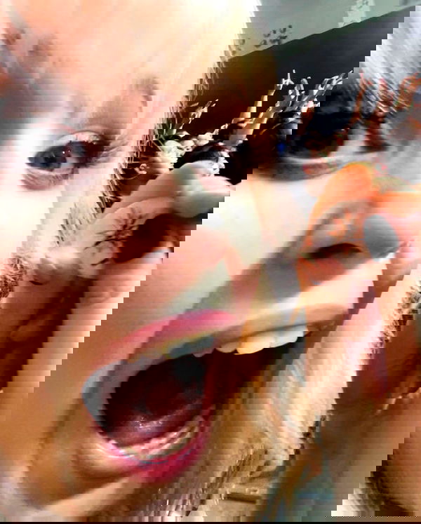 silkton silkton archive image