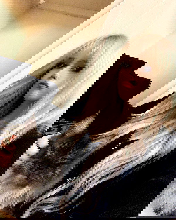 silkton silkton archive image