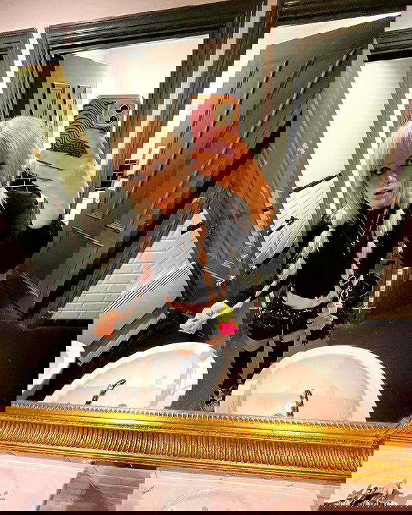 silkton silkton archive image