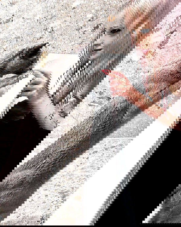 silkton image ~ Altpins