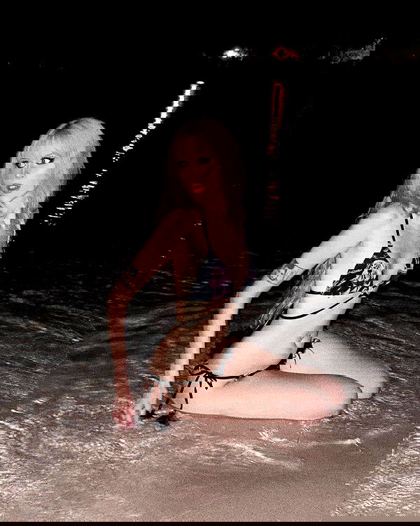 silkton silkton archive image