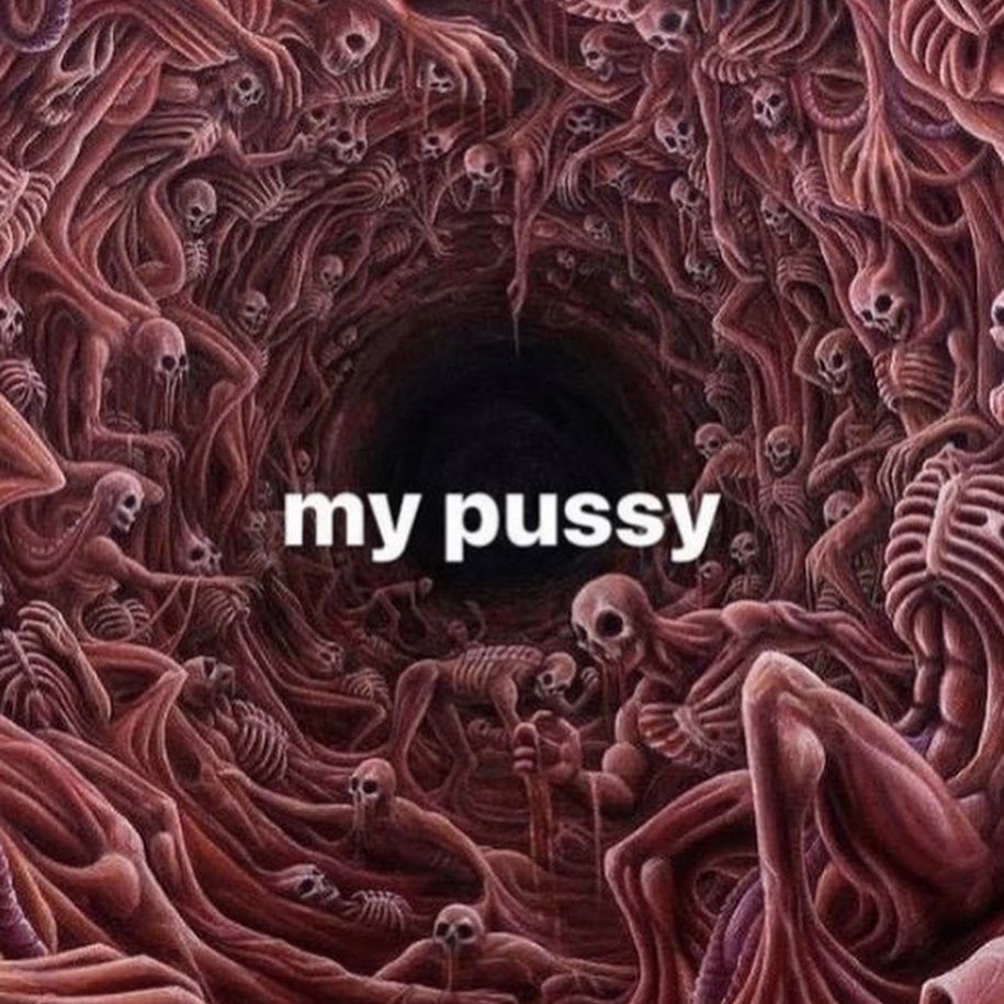 silkton instagram image archive image