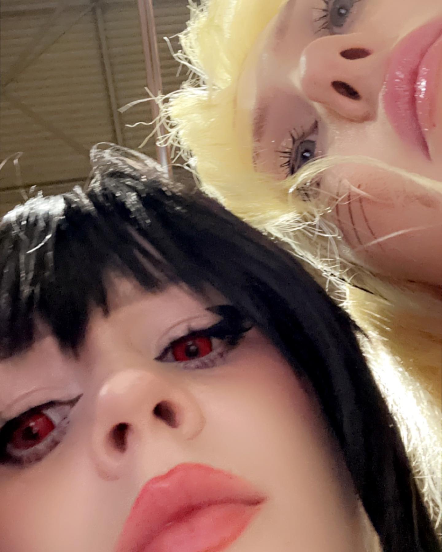 silkton instagram image archive image