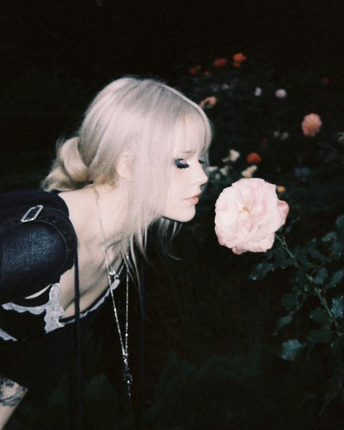 silkton instagram image archive image