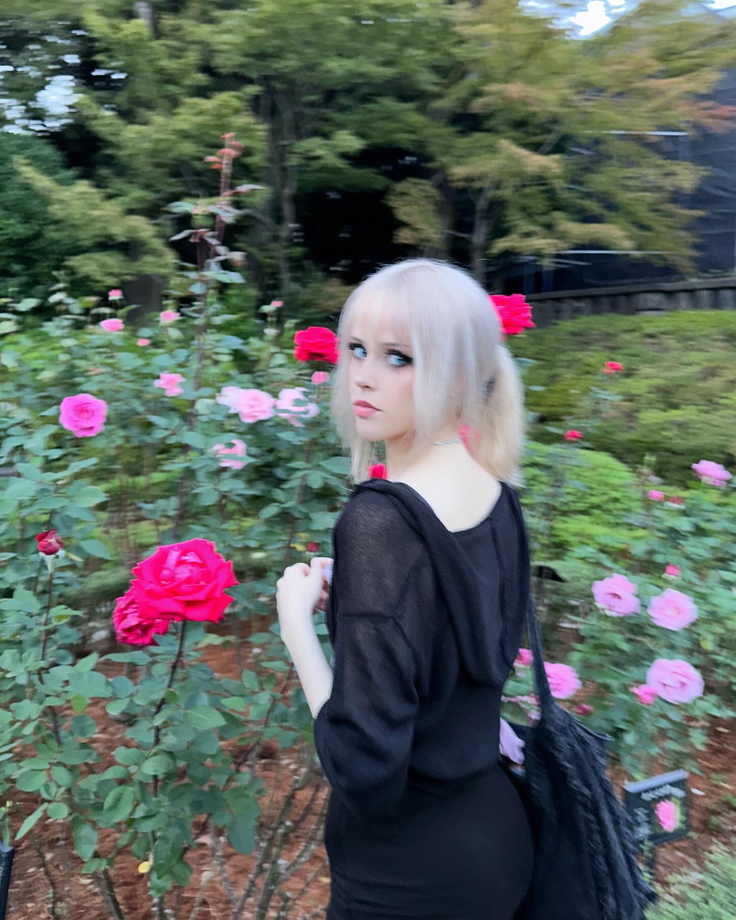 silkton instagram image archive image