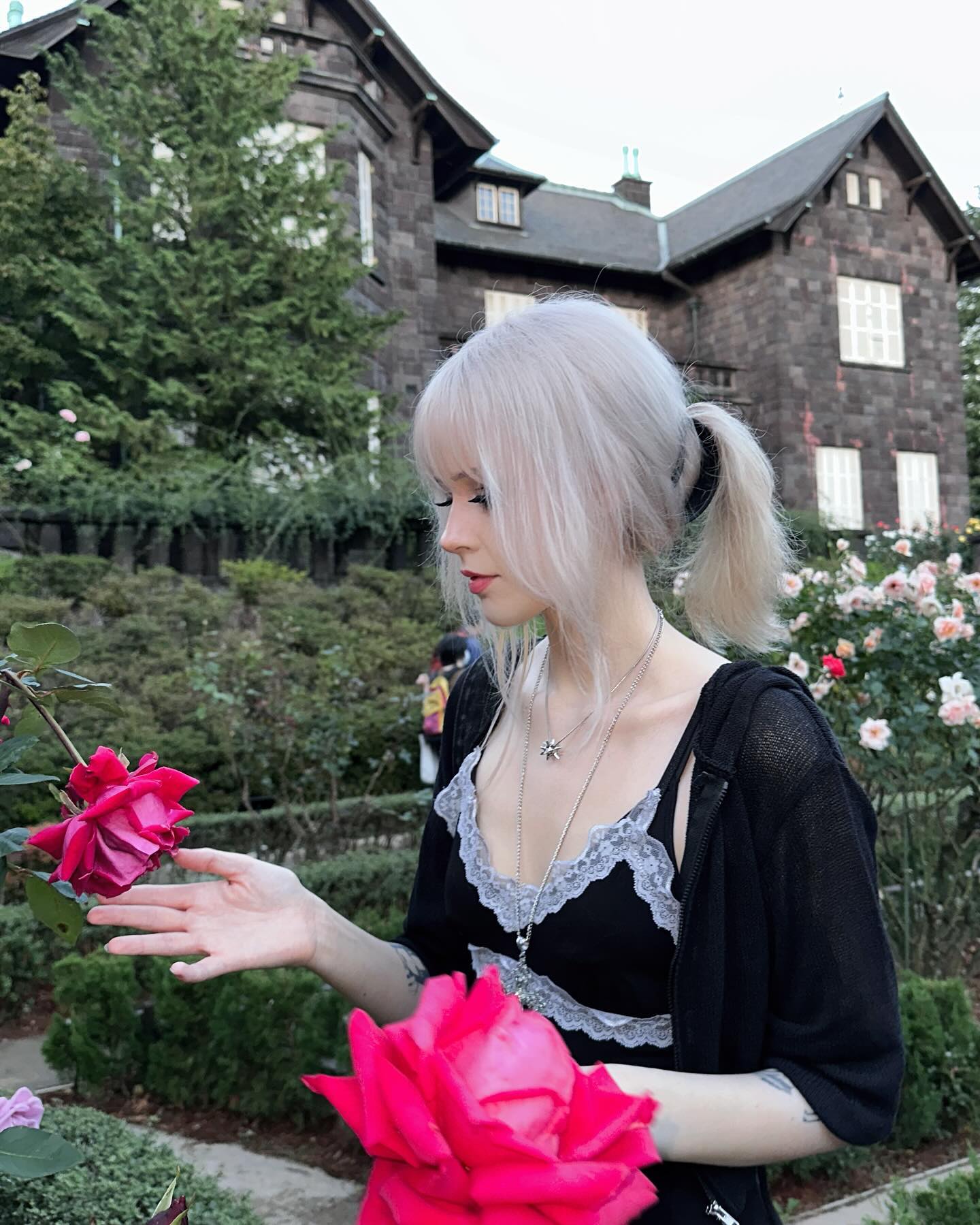 silkton instagram image archive image