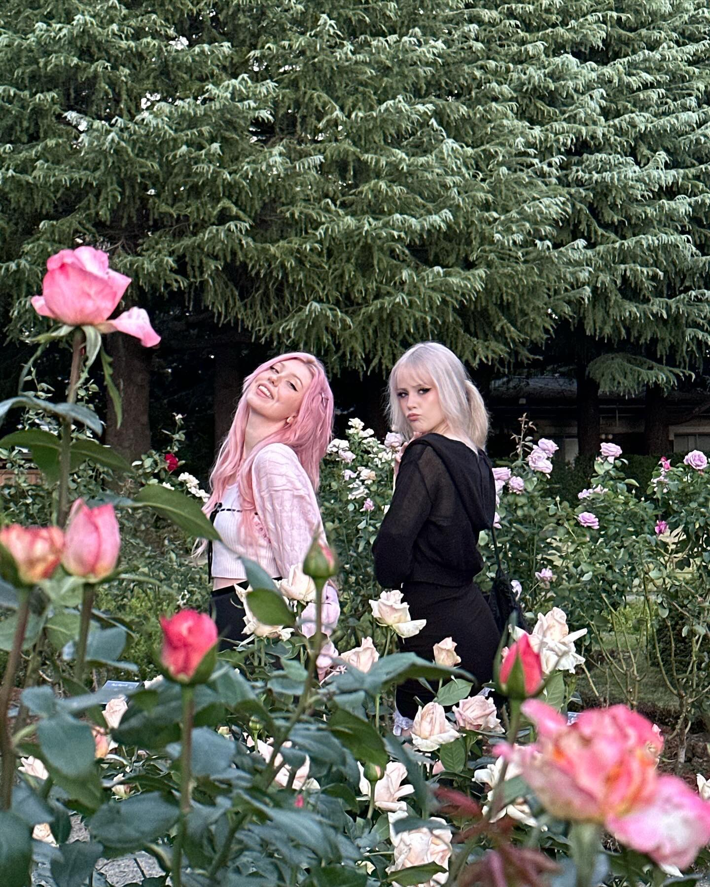 silkton instagram image archive image