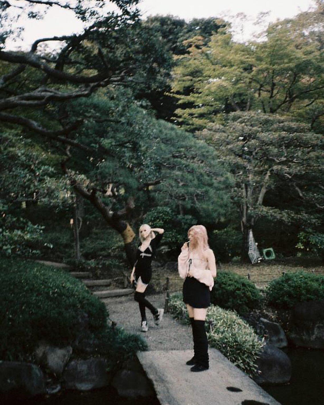 silkton instagram image archive image