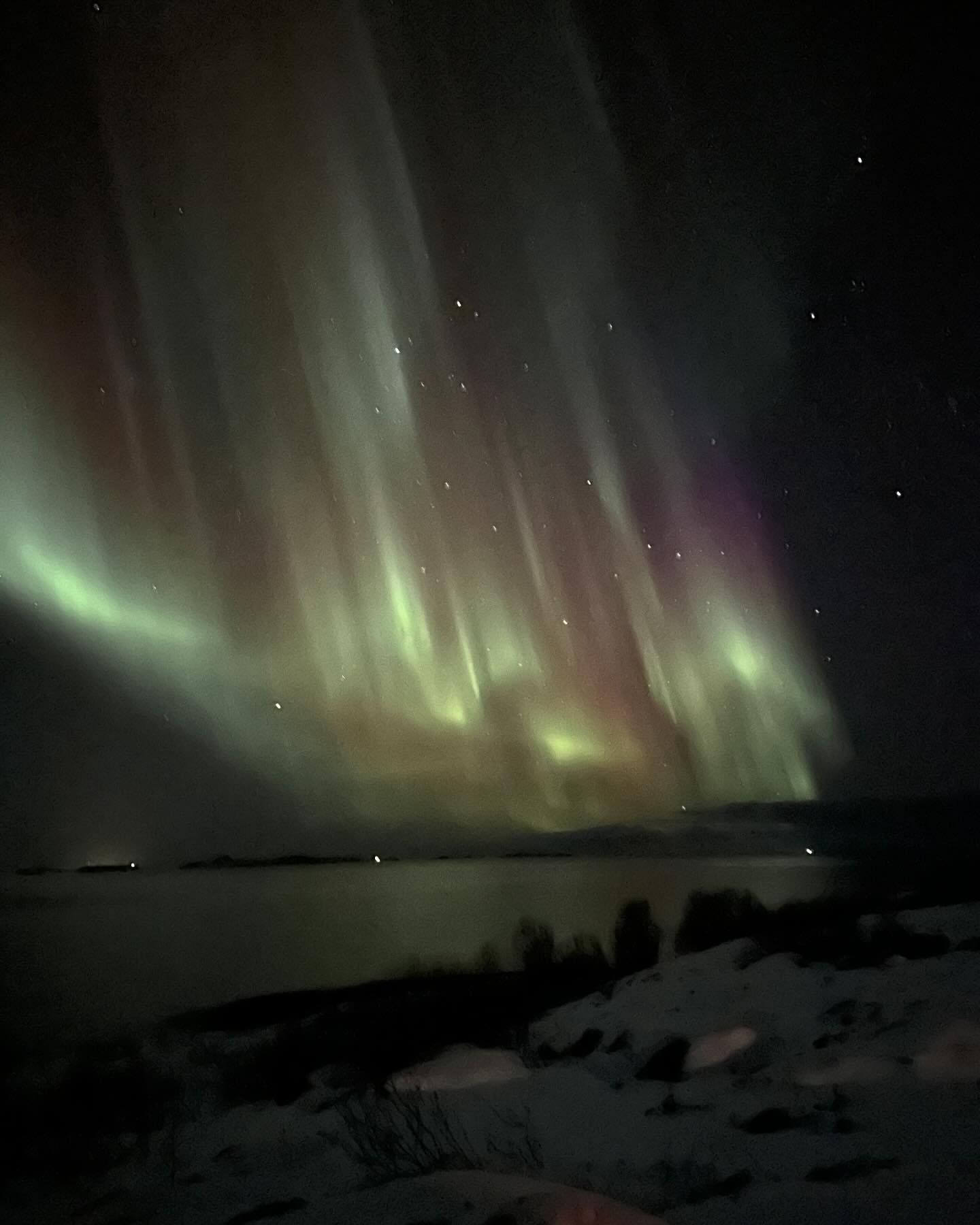 silkton instagram image archive image