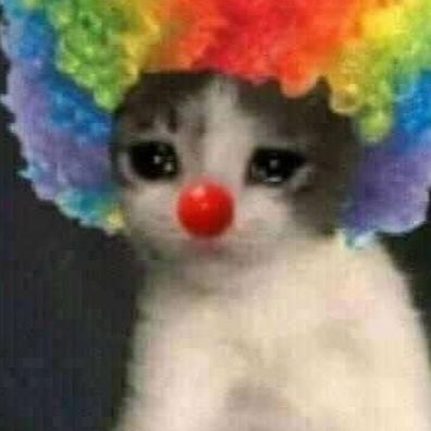 silkton instagram image archive image